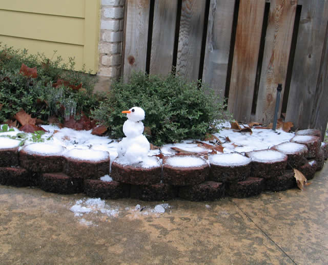 Snowman